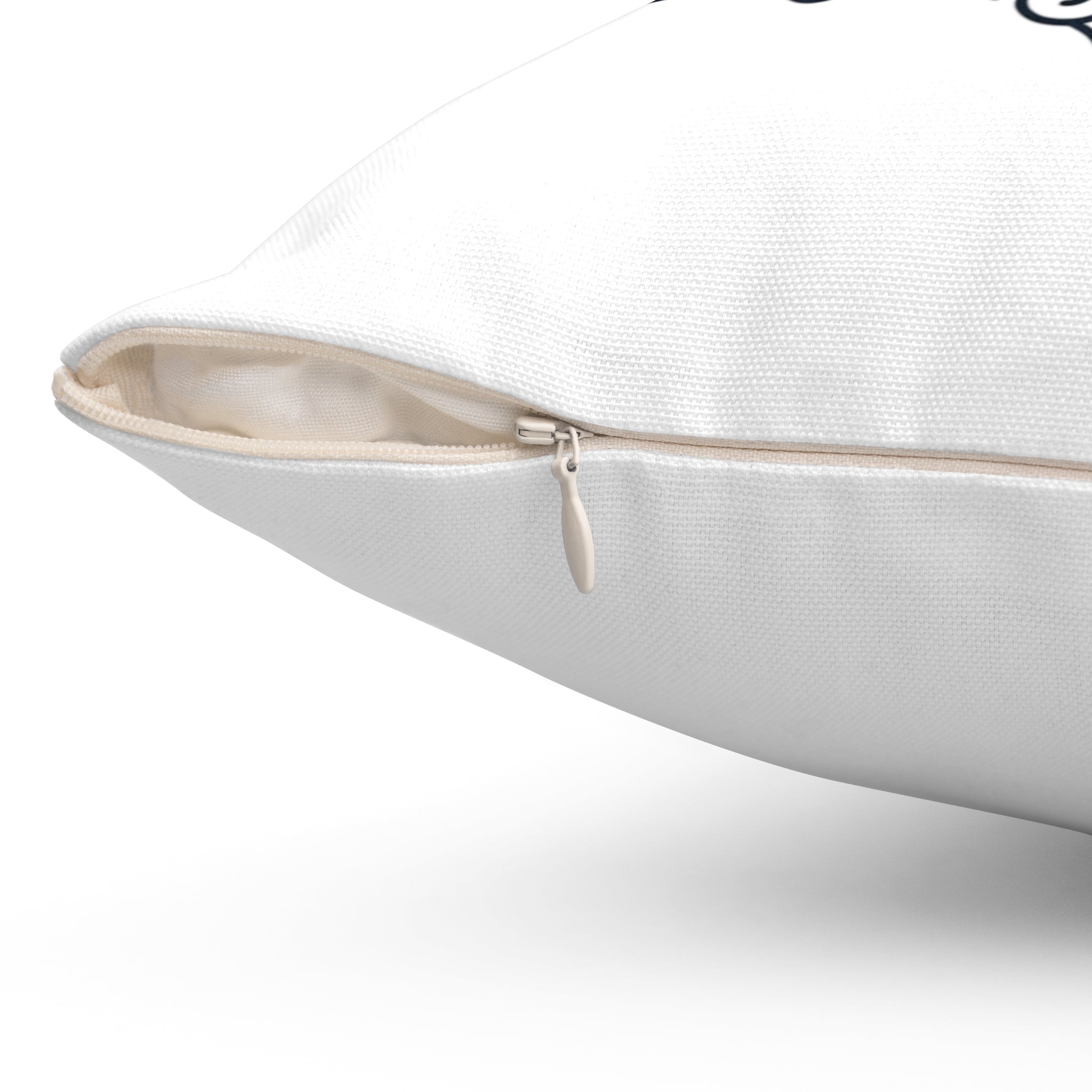 "This House Runs On Jesus" Pillow
